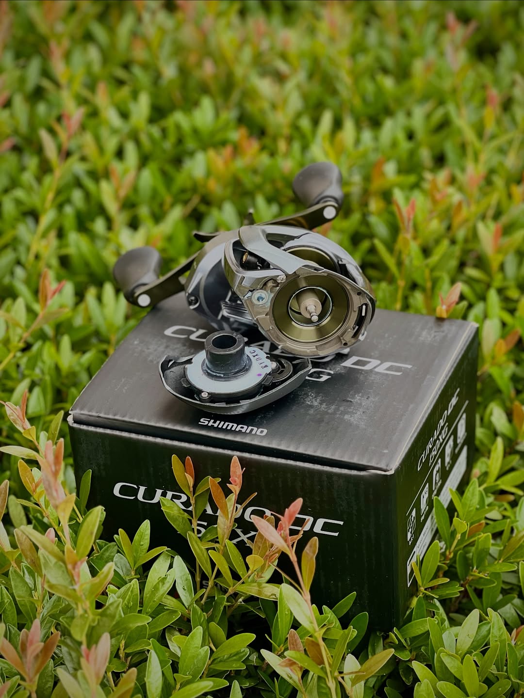 Carretilha Shimano CURADO DC 150